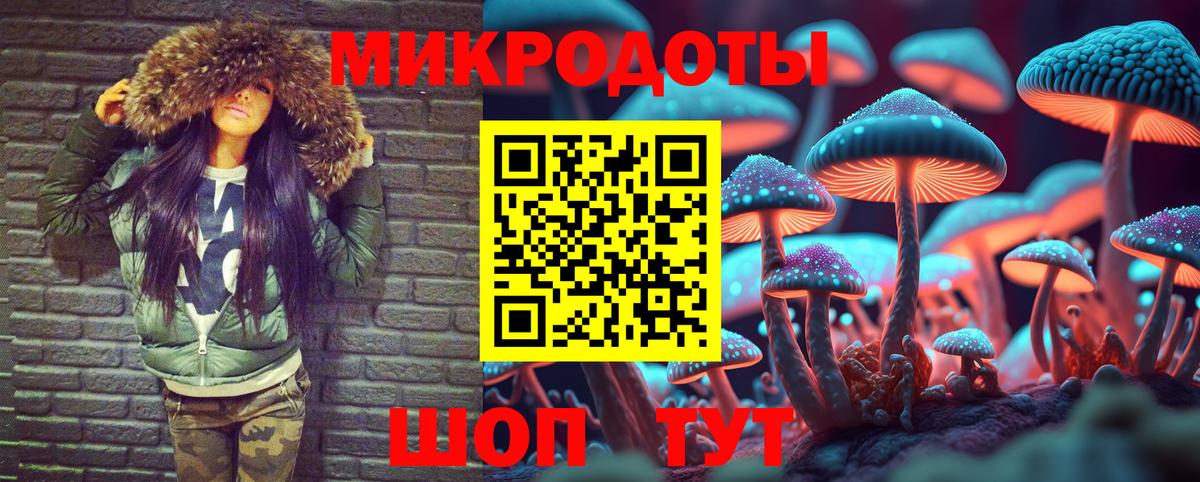 Галлюциногенные грибы Ишим