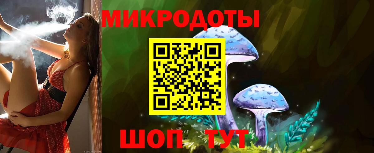 Галлюциногенные грибы Psilocybine cubensis  Вход с VPN  Ишим  Галлюциногенные грибы мицелий 