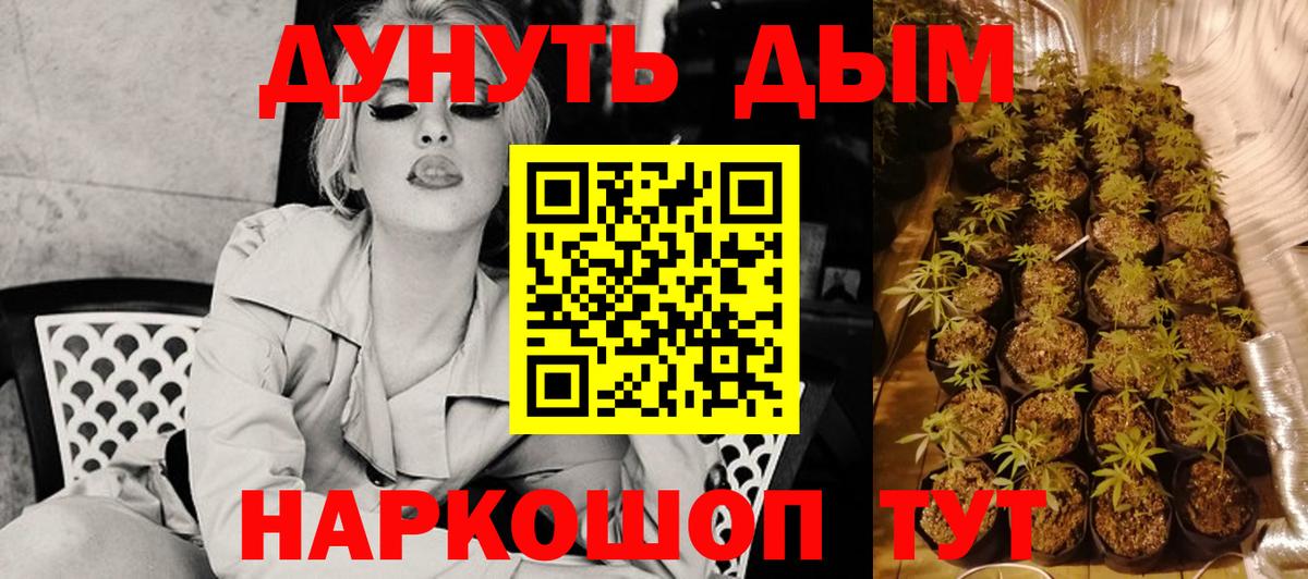 Канабис сатива Ишим